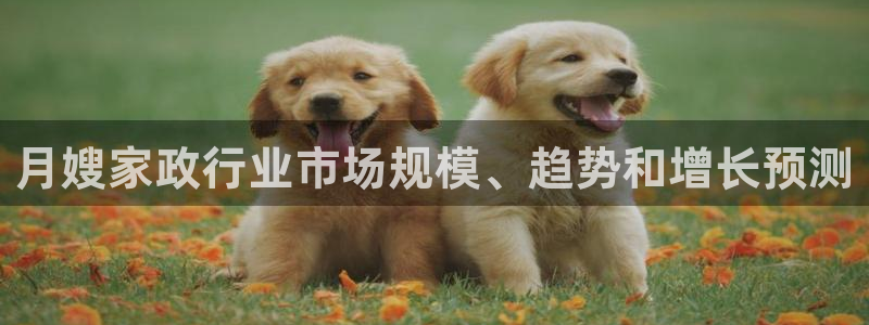 杏悦平台开户地址怎么改