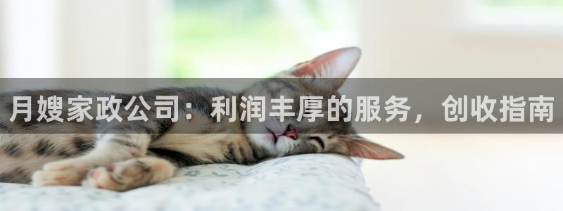 杏悦官方平台官网