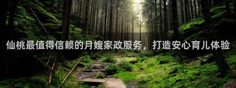 杏悦平台代理怎么样