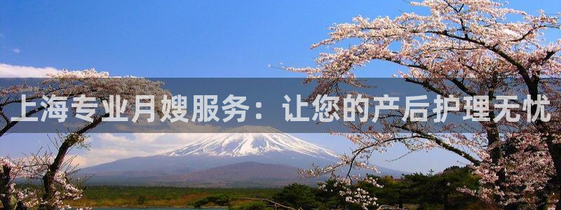 杏悦官方平台官网入口