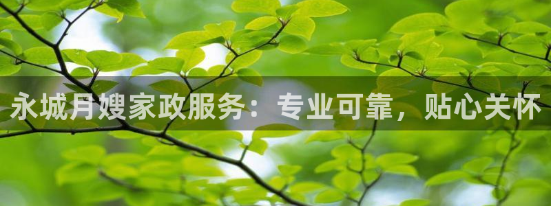 杏悦官方平台
