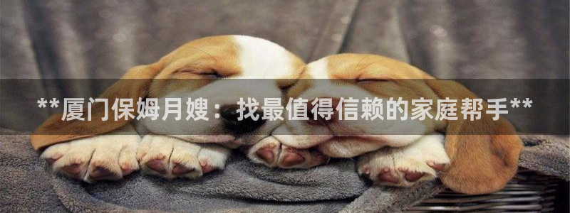 杏悦平台注册地址在哪里