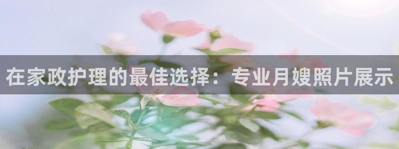 杏悦平台登录网址是多少