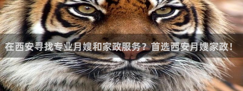杏悦平台代理怎么做的