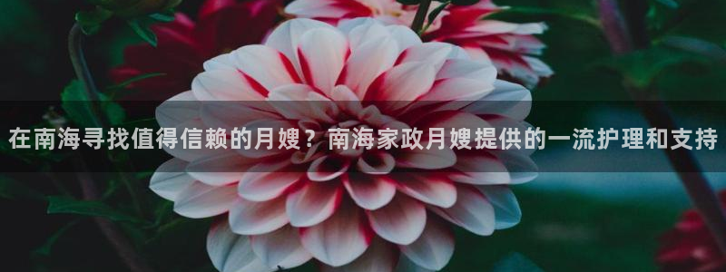 杏悦平台公司介绍