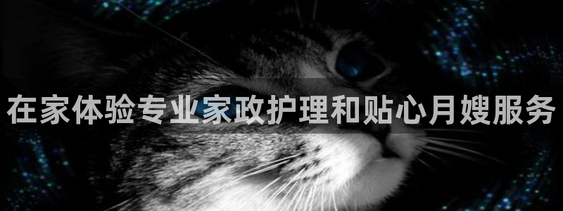 杏悦主管