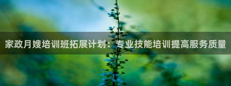 杏悦官方平台是正品吗安全吗