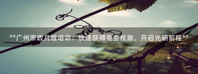 杏悦官网