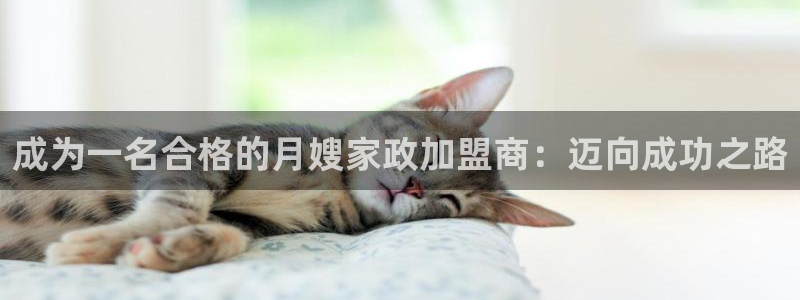杏悦平台注册流程