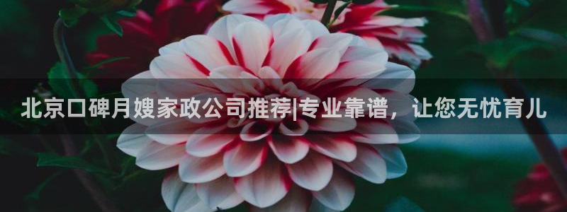 杏悦平台登录网址查询
