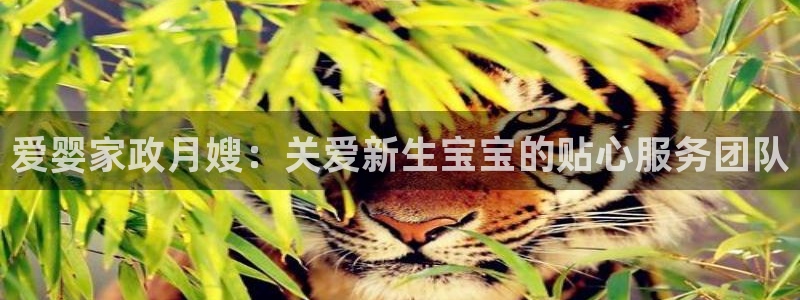 杏悦官网注册信息查询