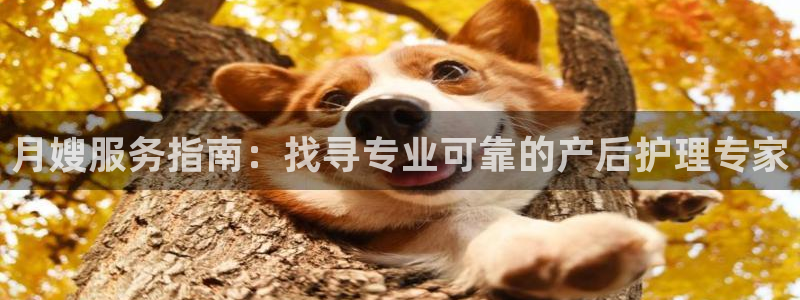 杏悦登录网址是什么