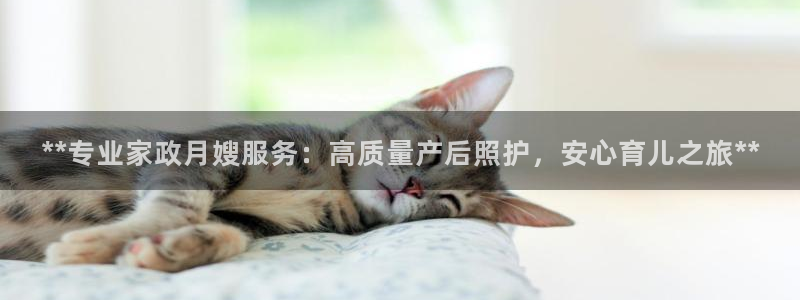 杏悦平台注册网址