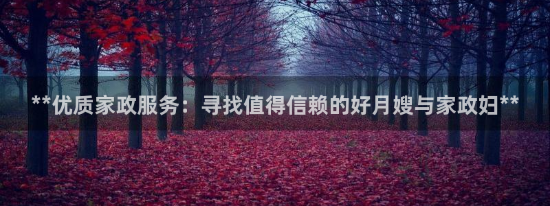 杏悦平台代理注册多少钱