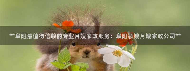 杏悦平台注册地址是哪里