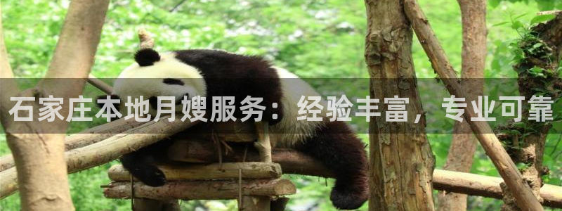 杏悦娱乐注册平台有哪些