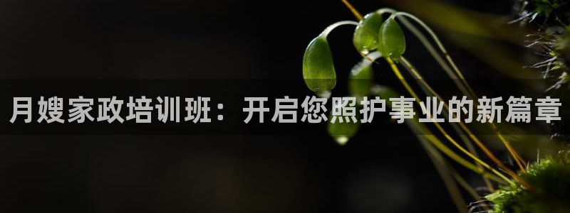 杏悦平台代理注册