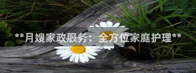 杏悦平台代理怎么样啊