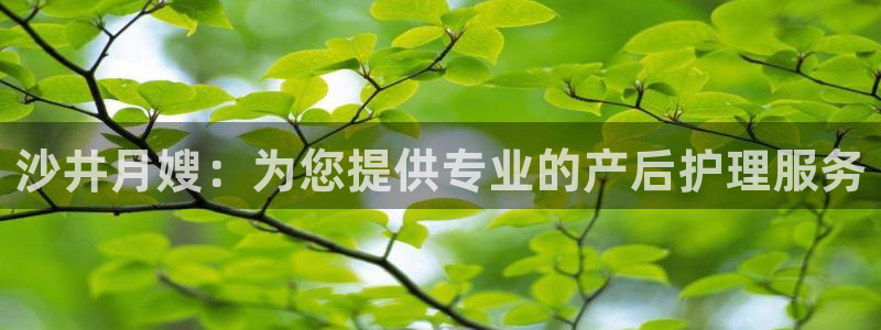 杏悦平台登录网址查询