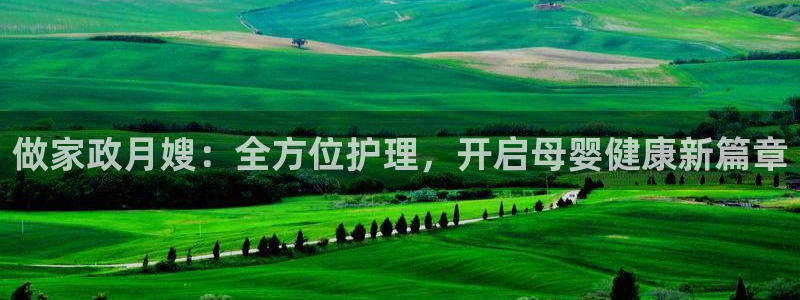 杏悦平台代理注册流程