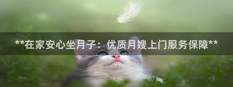 杏悦 -首选推荐平台