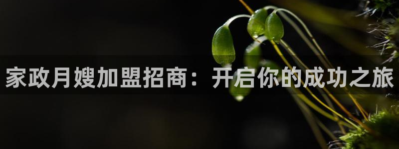 杏悦娱乐注册平台怎么样