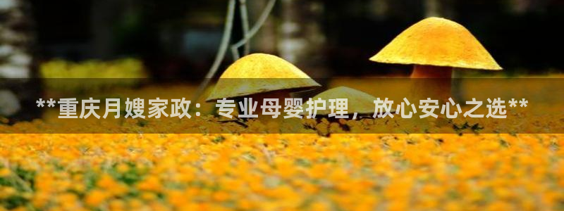 杏悦娱乐注册平台有哪些