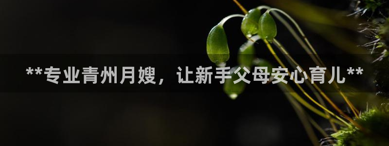 杏悦平台可靠吗是真的吗