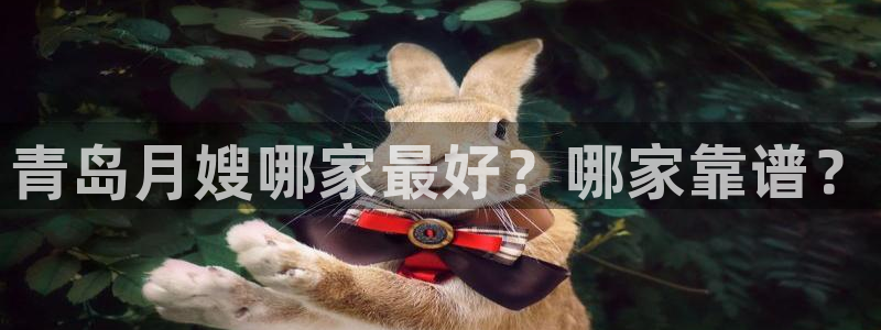 杏悦娱乐怎么玩