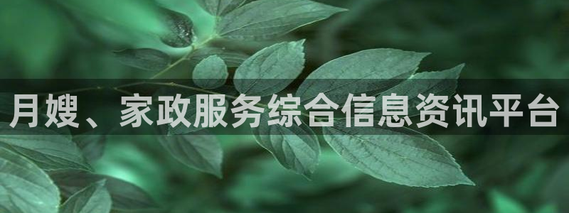 杏悦官网登录入口网址是什么