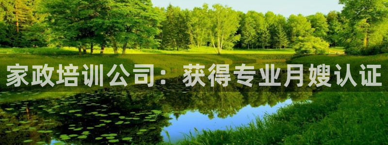 杏悦平台注册流程