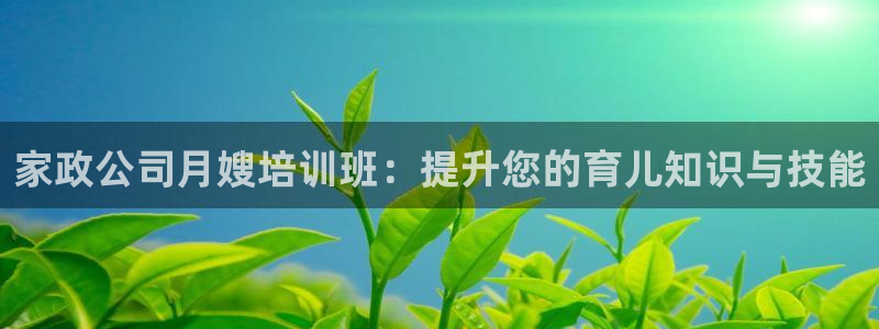 杏悦官方平台是正品吗知乎