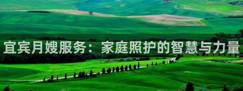 杏悦平台登录网址