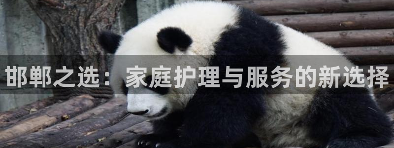 杏悦平台代理怎么赚钱的