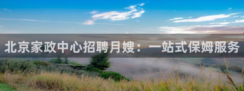 杏悦平台代理多少钱