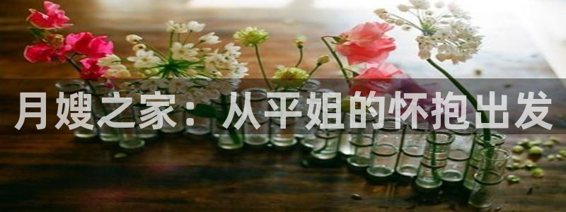 杏悦平台代理注册流程