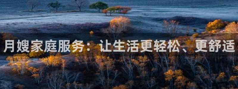 杏悦主管