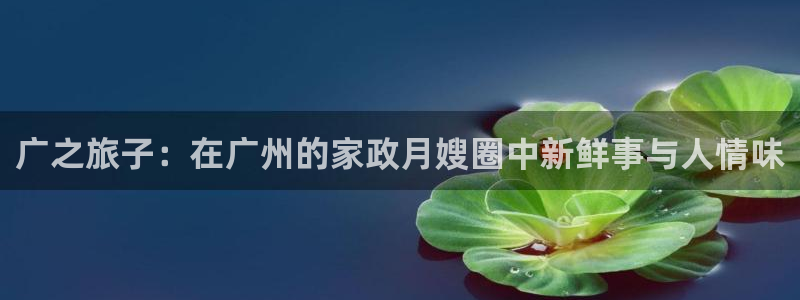 杏悦登陆地址