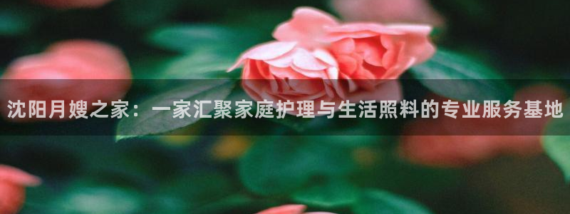 杏悦平台登录网址是什么