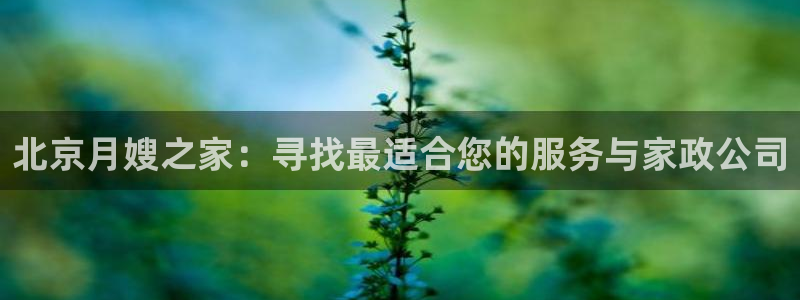 杏悦平台可靠吗可信吗