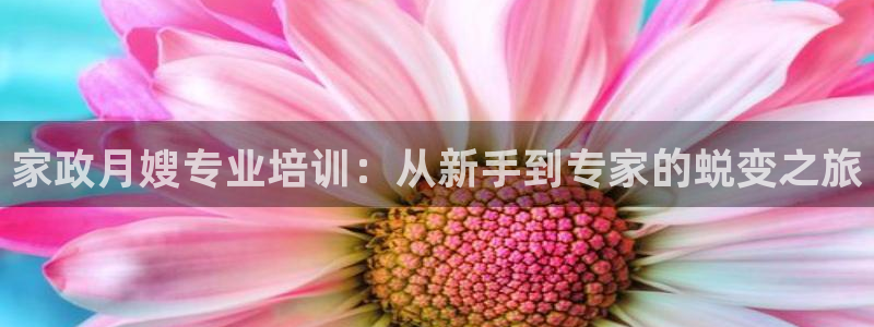 杏悦平台代理注册要钱吗