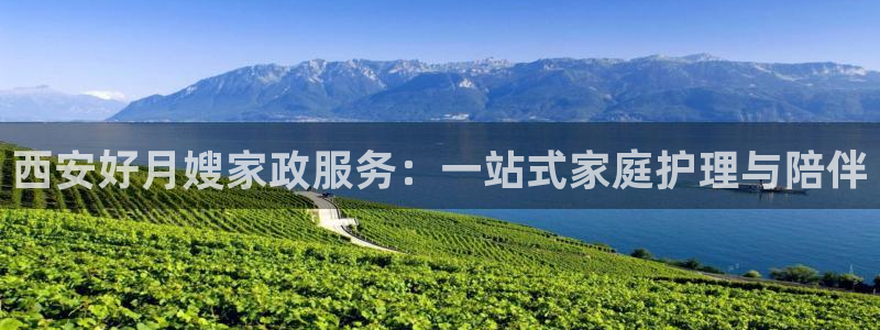 杏悦是什么平台