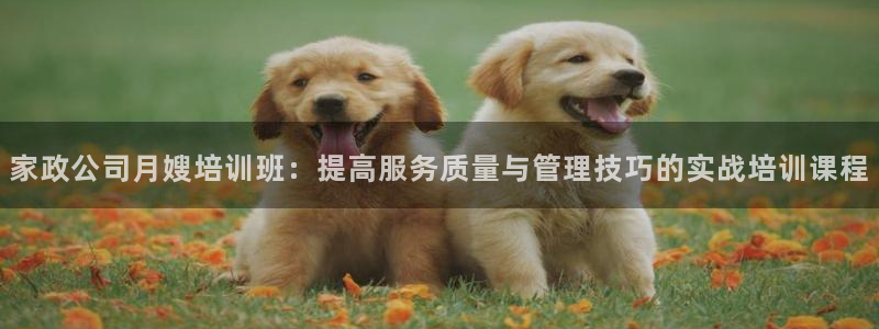 杏悦平台登录地址在哪里