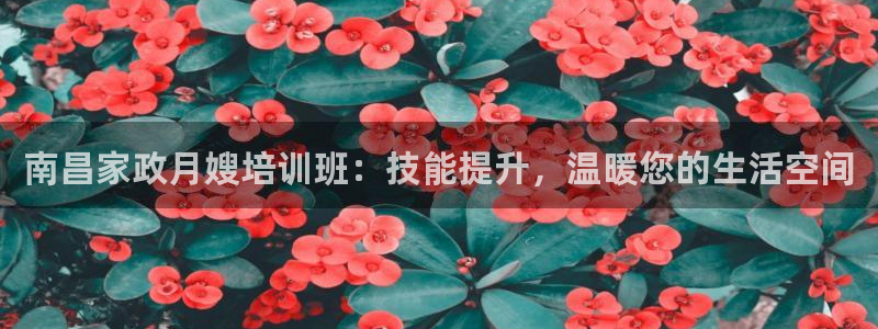 杏悦平台代理怎么样