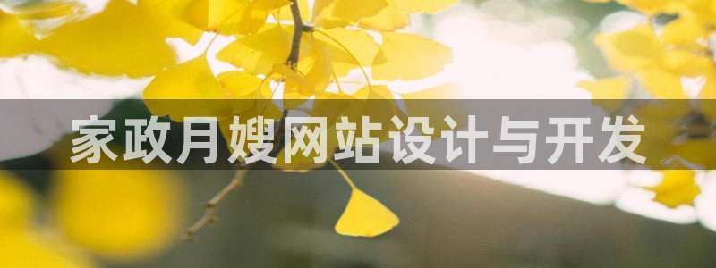 杏悦是什么平台