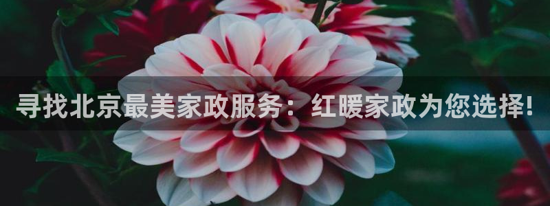 杏悦官方平台是正品吗安全吗