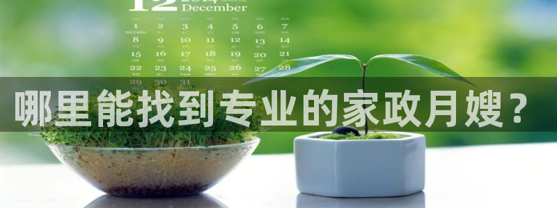 杏悦平台代理怎么赚钱快