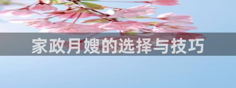 杏悦官网登录入口网址