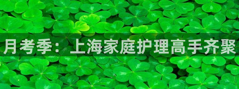 杏悦平台代理多少钱