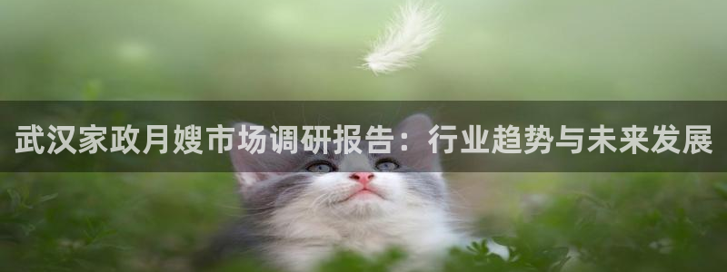 杏悦娱乐是什么